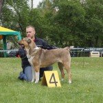 JAGA Bobrowicka Sfora