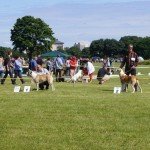 ASTGHIK Merdana i KAMIRA z Wardynia